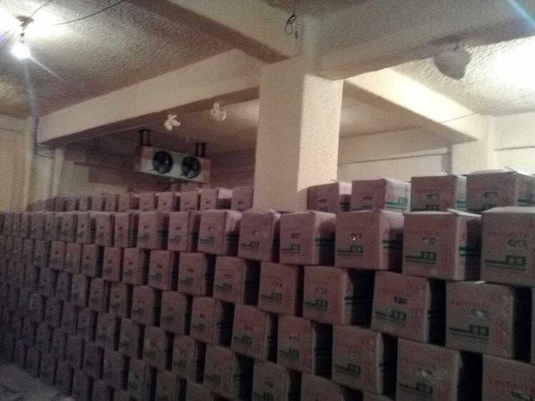 香蕉保鲜冷库 香蕉保鲜冷库