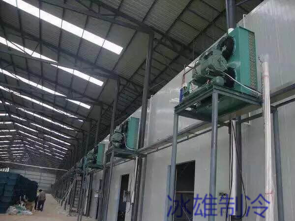 水果冷藏库 水果冷藏库